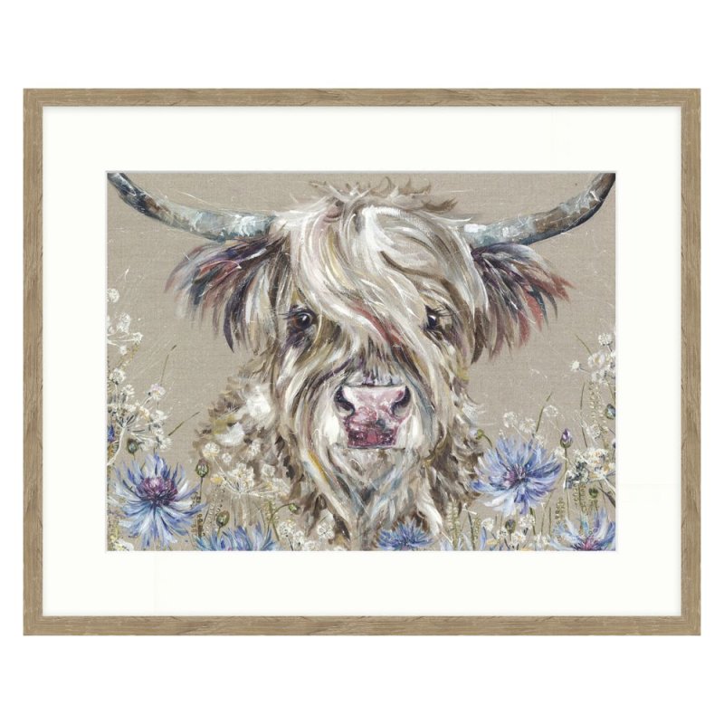 Cornflower by Nicola Jane Rowles Framed Picture